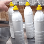 O Comportamento Reprodutivo Canino