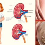 Bolo Gelado de Travessa