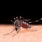 Bolo 5 Copos: Simples e muito gostoso