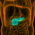 Pudim sem ovo e sem forno
