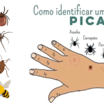 9 Partes do corpo que os homens adoram receber carinho