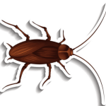 É Possível Ter Amizade com um Ex? Descubra Aqui!