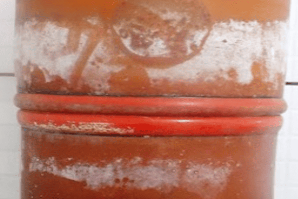 O que é a camada branca do filtro de barro - Imagem Reprodução via Facebook Internet