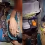 Existe Mesmo Amor à Primeira Vista? O que a ciência revela sobre isso