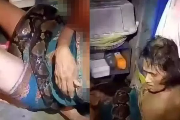 Mulher é ataca por cobra píton na Tailandia - Imagem via Mail News no YouTube