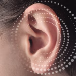 Como Lidar com o Luto de um Animal de Estimação